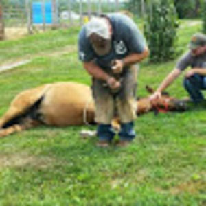 Meet your Posher, Shawn